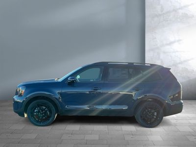 2025 Kia Telluride — detail view