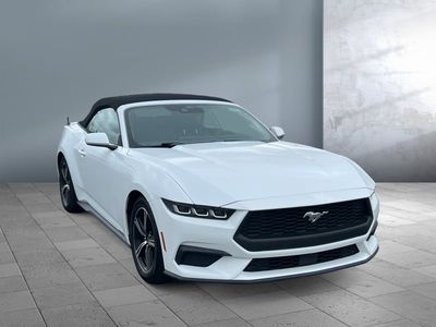 2024 Ford Mustang — front three-quarter view