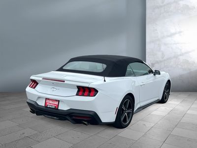 2024 Ford Mustang — detail view