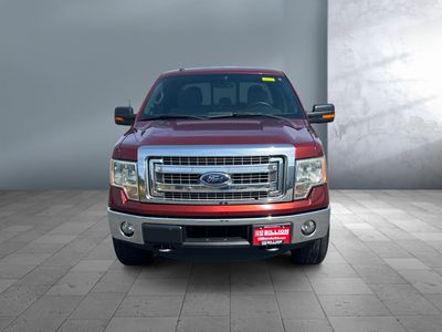 2014 Ford F-150 — side profile view