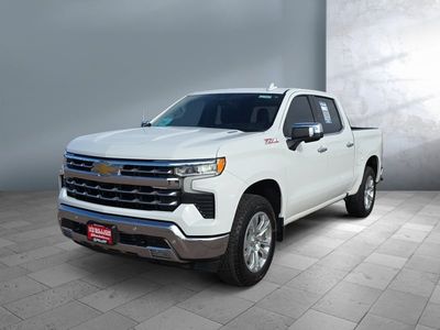 2025 Chevrolet Silverado 1500 - Photo 1