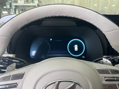 2025 Hyundai Palisade — photo 12 view
