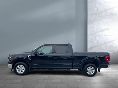 2023 Ford F-150 — rear three-quarter view
