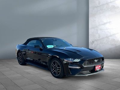 2023 Ford Mustang - Photo 1