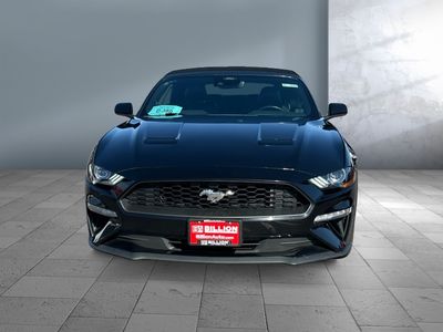 2023 Ford Mustang - Photo 2