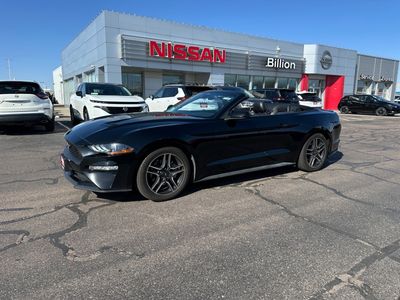 2023 Ford Mustang - Photo 3