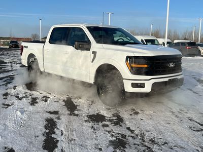 2026 Ford F-150 — rear three-quarter view