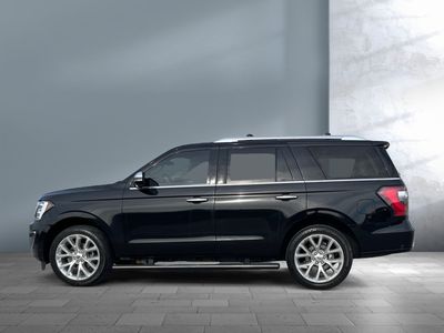 2019 Ford Expedition — rear three-quarter view