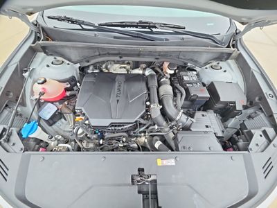2023 Kia Sorento — photo 12 view