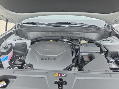 2025 Kia Telluride — photo 9 view