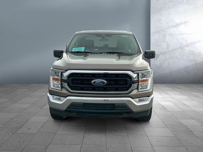 2022 Ford F-150 — side profile view