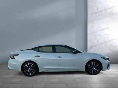 2023 Nissan Maxima — detail view