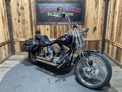2005 Harley-Davidson FXSTS/FXSTSI Springer Softail - Photo 2