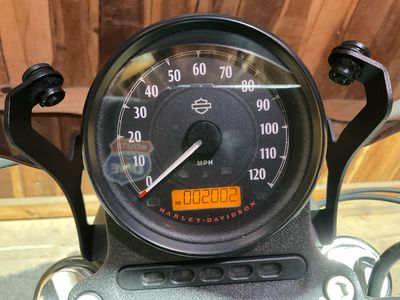 2021 Harley-Davidson Iron 883 — photo 11 view