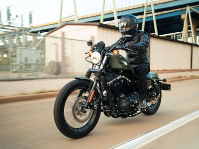 2021 Harley-Davidson Iron 883 — photo 12 view
