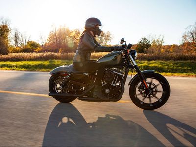 2021 Harley-Davidson Iron 883 — photo 13 view