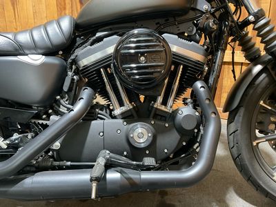 2021 Harley-Davidson Iron 883 — photo 14 view