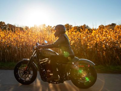 2021 Harley-Davidson Iron 883 — photo 8 view