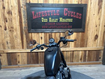 2020 Harley-Davidson Iron 883 - Photo 3