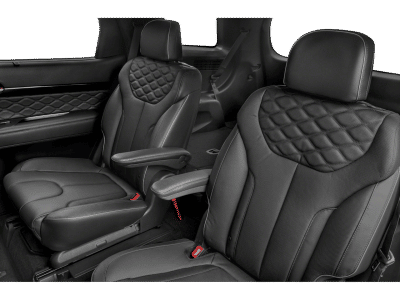 2020 Hyundai Palisade — photo 48 view