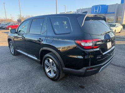 2025 Honda Pilot - Photo 4