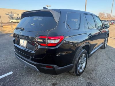2025 Honda Pilot - Photo 5