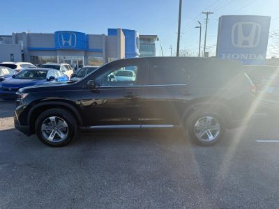 2025 Honda Pilot - Photo 9