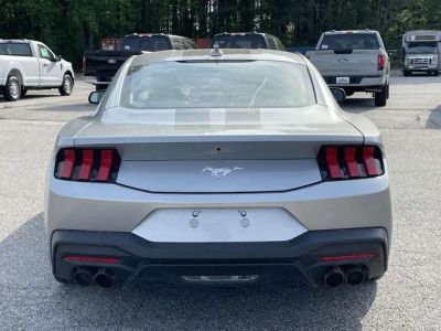 2026 Ford Mustang - Photo 4