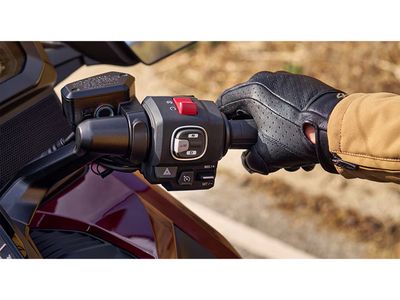 2025 Honda Gold Wing Tour Automatic DCT - Photo 26