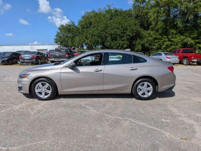 2025 Chevrolet Malibu - Photo 2