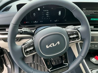2026 Kia Carnival — photo 14 view