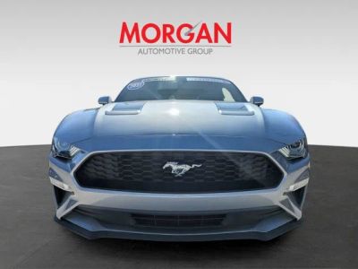 2021 Ford Mustang — photo 8 view