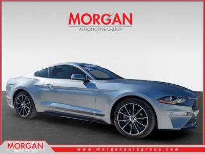 2021 Ford Mustang EcoBoost Premium in Silver Metallic — front three-quarter view