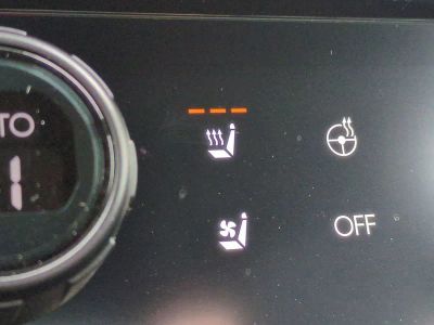 2026 Hyundai PALISADE — photo 30 view