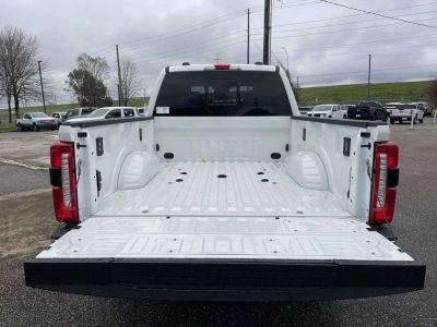 2026 Ford Super Duty - Photo 10