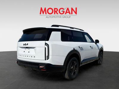 2027 Kia Telluride — detail view