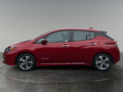 2019 Nissan Leaf — detail view