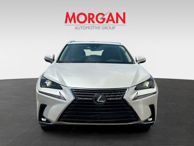 2020 Lexus NX - Photo 2