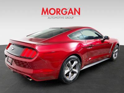 2017 Ford Mustang — rear three-quarter view