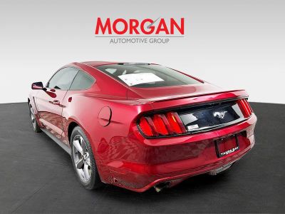 2017 Ford Mustang — detail view