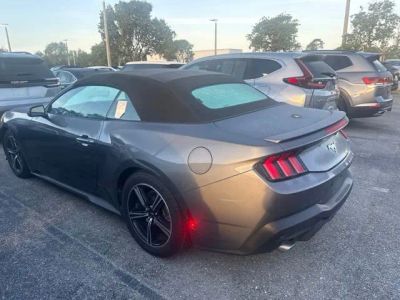 2024 Ford Mustang — side profile view