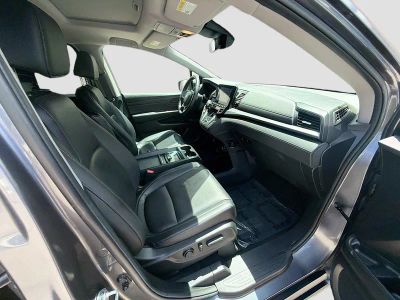 2024 Honda Odyssey — photo 29 view