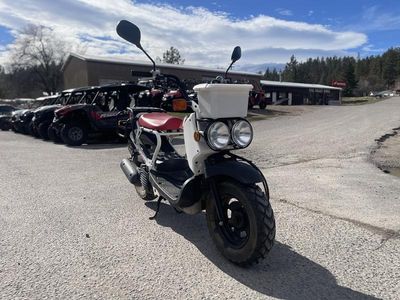 2013 Honda Ruckus - Photo 2