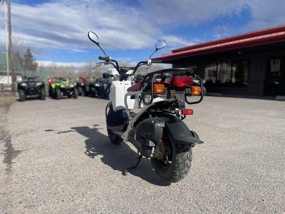 2013 Honda Ruckus - Photo 5