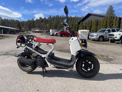 2013 Honda Ruckus - Photo 1