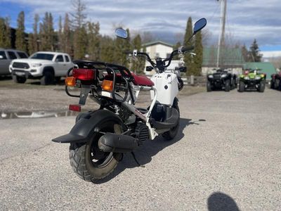 2013 Honda Ruckus - Photo 6