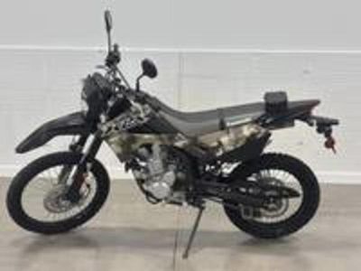 2026 Kawasaki KLX300 Cypher Camo Beige - Photo 12