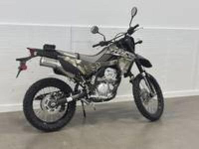 2026 Kawasaki KLX300 Cypher Camo Beige - Photo 1