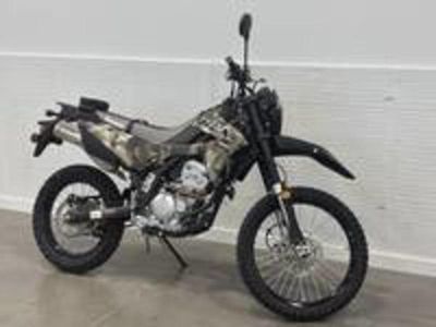 2026 Kawasaki KLX300 Cypher Camo Beige - Photo 2
