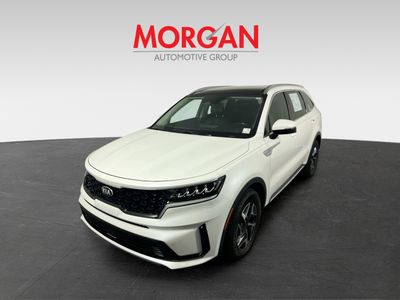 2021 Kia Sorento Hybrid - Photo 7